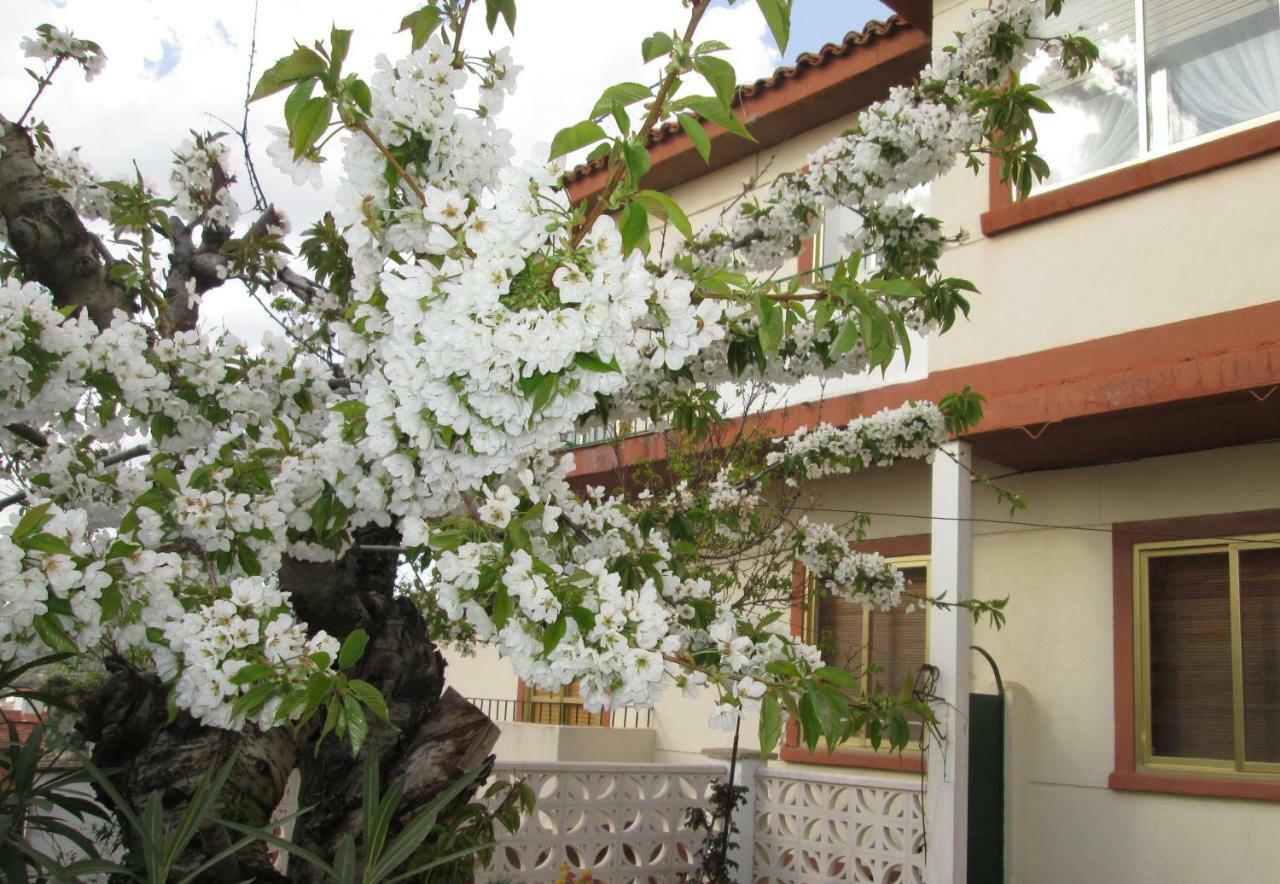 Cuencaloft El Patio De Pipo Διαμέρισμα Κουένκα Εξωτερικό φωτογραφία